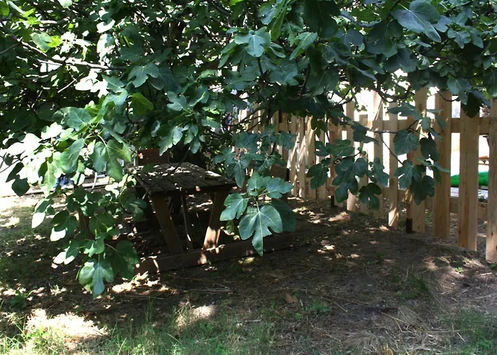 2 En Bois Avec Acces Piscine Nimes